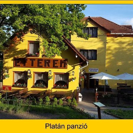 Platan Panzio Hotell Dobogoko Exteriör bild